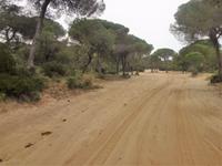 mit dem Jeep durch den Nazionalpark macht Spass