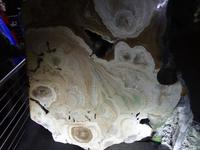 Wie Marmor sind die Stalag-titen/miten/tone im Inneren. 