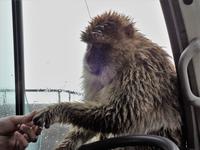 Oh sorry, hello fellow, how do you do ? 