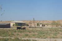 auf dem Weg nach Samarkand