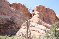 Arches N.P. - Delicate Arch