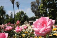 Sacramento - Stadtpark