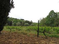 Portugal – Schloss Mateus