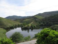 Portugal – Quinta do Tedo