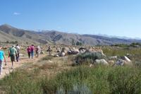 Besichtigung Cholpon-Ata