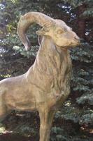 Eingang am Prschewalski-Museum