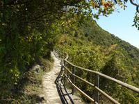 Wandern in den Cinque Terre 4