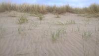 Aussicht am Westrand von Texel