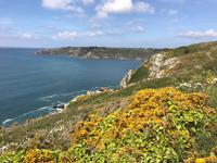 Guernsey