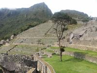 Rundreise Südamerika - Die Vielfalt Lateinamerikas entdecken Peru, Bolivien, Chile, Argentinien, Urugay und Brasilien (317)