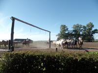 Rundreise Südamerika - Die Vielfalt Lateinamerikas entdecken Peru, Bolivien, Chile, Argentinien, Urugay und Brasilien (455)