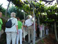 Weingut 