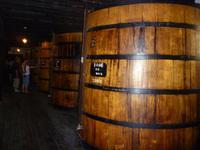 Besuch bei der Old Blandys Wein Lodge
