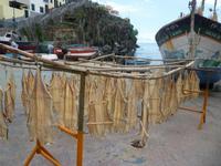 Stockfisch in Camara de Lobos