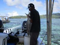 Cousin, Courieuse und St. Pierre