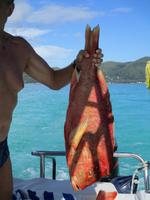 Aride Island Ausflug