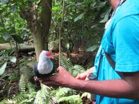 Aride Island Ausflug