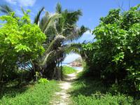 Aride Island Ausflug