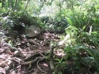 Aride Island Ausflug