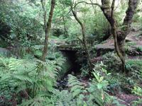 Wanderung auf der Levada nach 