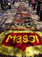 Funchal und sein Blumenteppiche