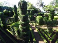 Botanischer Garten in Funchal 