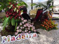 Funchal - Dekoration zum Blumenfest