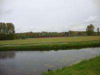 Keukenhof