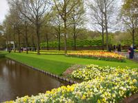 Keukenhof