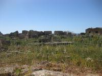 In den Ausgrabungsstätten von Selinunte 