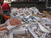 Catania - Fischmarkt