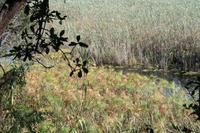 Wanderung