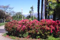 Stresa - Lago Maggiore (Uferpromenade)