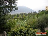 Botanischer Garten Meran