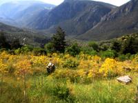 Landschaft bei Arachova