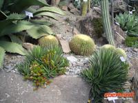 Botanischer Garten Meran