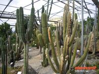 Botanischer Garten Meran