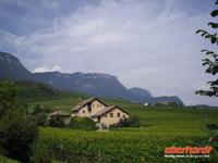 Südtiroler Weinstrasse