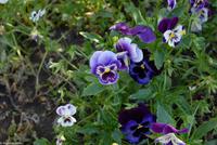 Porto & Lissabon Eberhardt-Travel PT-POLIS Martin Büchner-0973