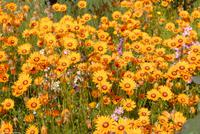 Porto & Lissabon Eberhardt-Travel PT-POLIS Martin Büchner-0999