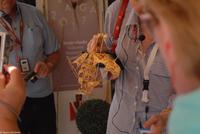 Porto & Lissabon Eberhardt-Travel PT-POLIS Martin Büchner-1012