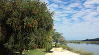 Hakusembe River Lodge