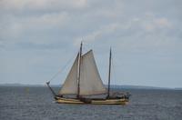 161 Mit dem Salondampfer über das Ijsselmeer