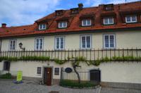 007 Maribor, die älteste Rebe