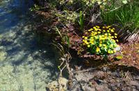 036 NP Plitvicer Seen