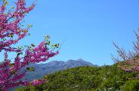 175 Biokovo, Heiliger Georg 1723 m