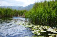 207 Neretvadelta, Bootsfahrt Villa Neretva