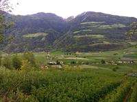Die Natur