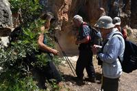 Blümlein da - Foto machen