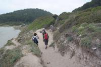 wir biegen rechts ab in Richtung Wald